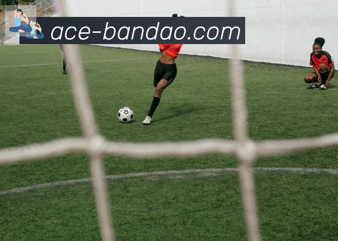 未来规划